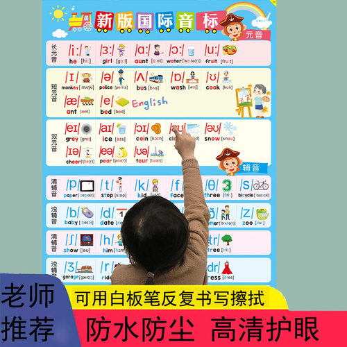 新版48个国际音标英语挂图