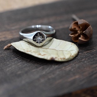 欧美轻奢风个性 指环饰品钛钢戒指 ins简约潮流太阳花镶钻钛钢时尚