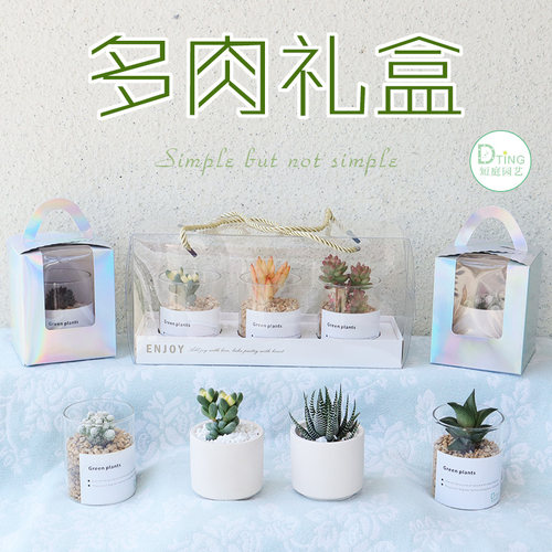 教师节老师同学朋友节日多肉礼盒