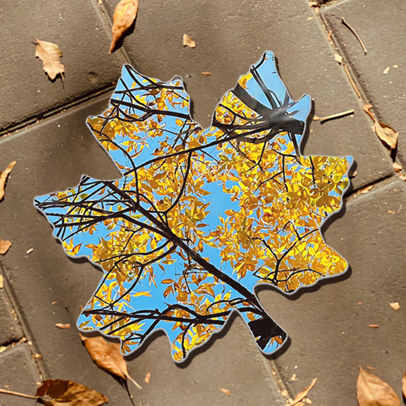 高清镜面枫叶镜手柄化妆镜手持镜子亚克力软镜学生便携梳妆镜定制