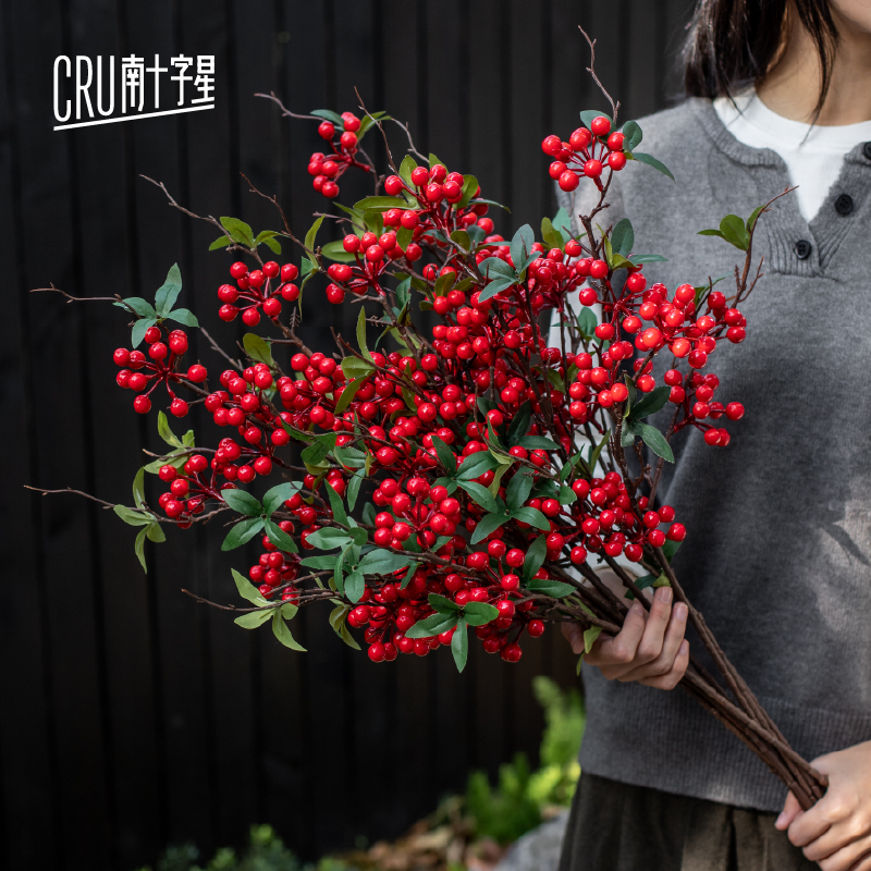 南十字星带叶红果发财果