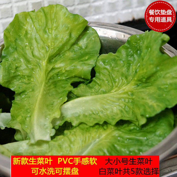 仿真生菜叶大白假蔬菜塑