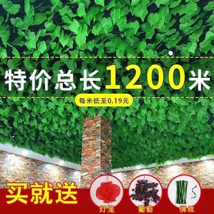饰 仿真葡萄叶绿藤条藤蔓绿叶植物管道缠绕室内屋顶格栅吊顶花藤装