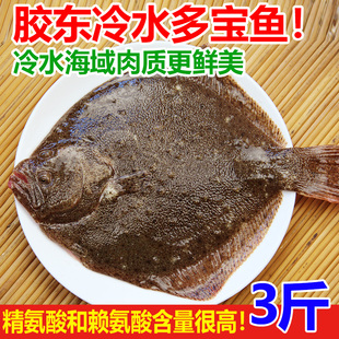 新鲜多宝鱼海鲜水产鲜活比目鱼3斤石斑鱼鸦片鱼鲽鱼菱深海鱼含冰