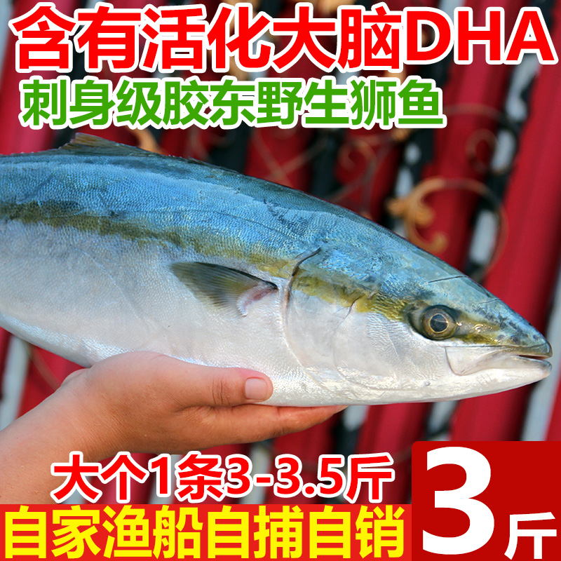 新鲜鱼3斤油甘身章黄狮日本料理