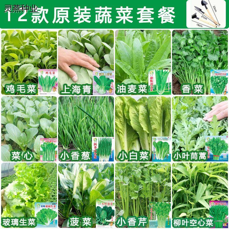 12种四季蔬菜种子大全原装正品多种混合蔬菜种子阳台