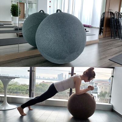 Premium Yoga Ball Protective Cover Gym Workout Balance Ball