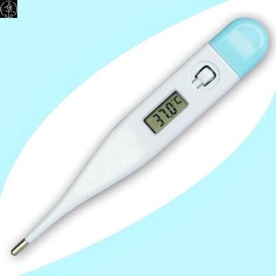 ElectricDigaLcdThmoFH