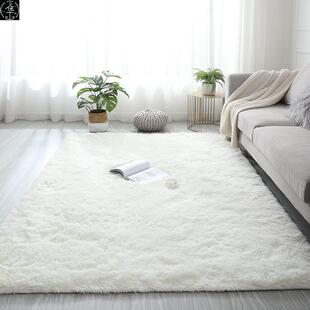 Room Bedroom Mat Carpet 地毯子 Floor Living Rug Plush Fluffy