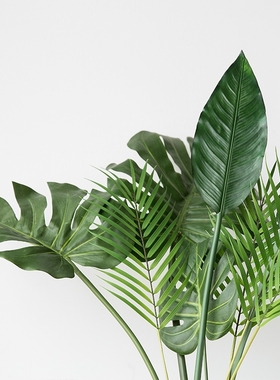 One Piece monstera s plastic tropical palm