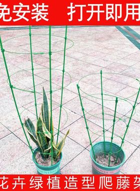 Iron Flower Shelf Vine potted stand package plastic hoop pot