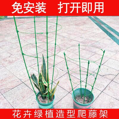 Iron Flower Shelf Vine potted stand package plastic hoop pot