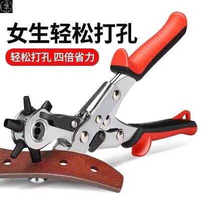 HouseholdLeatrBPunciE