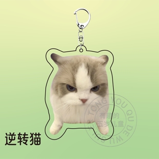 猫meme小剧场周边亚克力钥匙扣可爱搞怪搞笑书包装饰挂件送朋友
