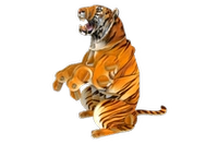 Сибирский тигр