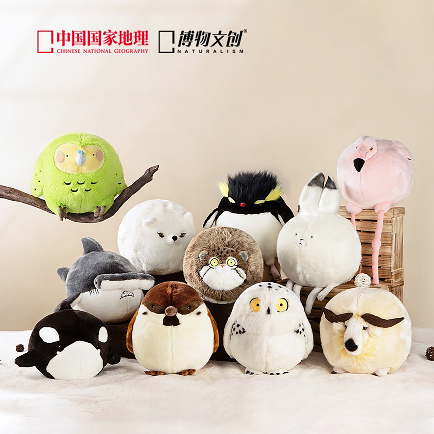 博物文创动物毛绒科普玩偶公仔