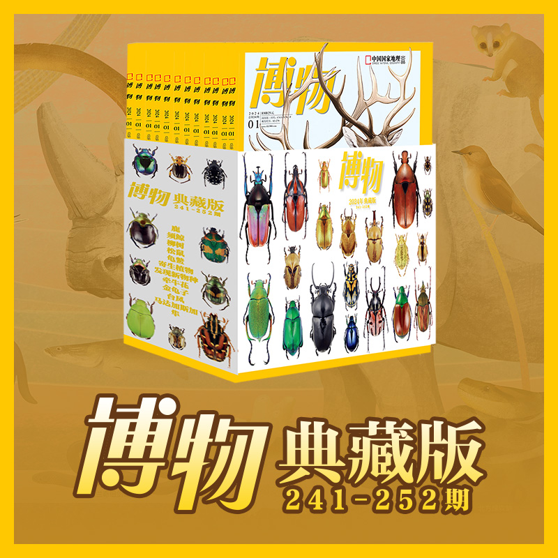 中国国家地理博物杂志2024年典藏版 1-12单月刊订阅科普期刊杂志
