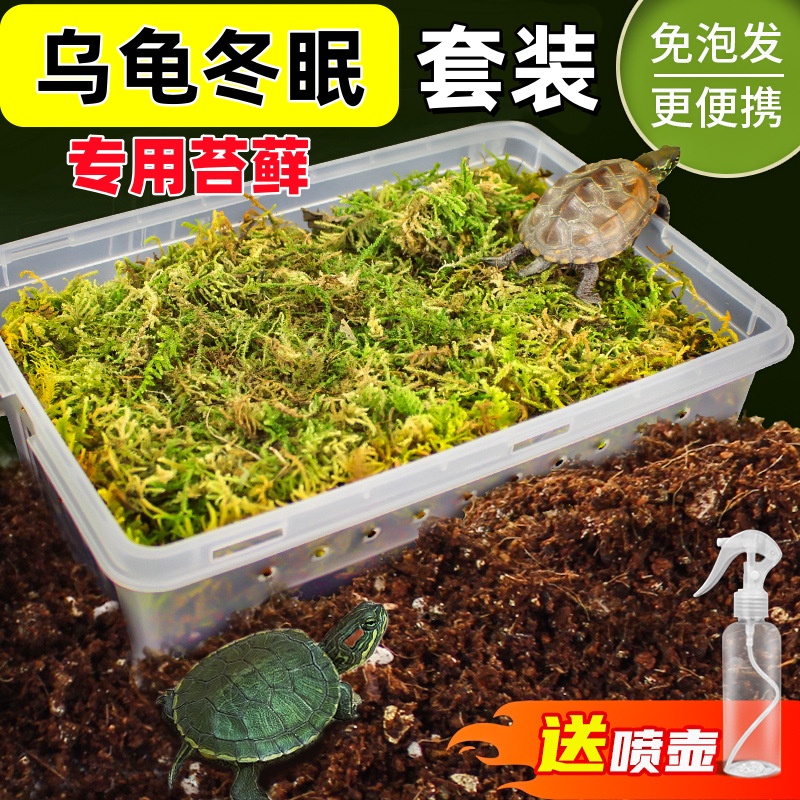 乌龟冬眠专用苔藓椰土免泡发