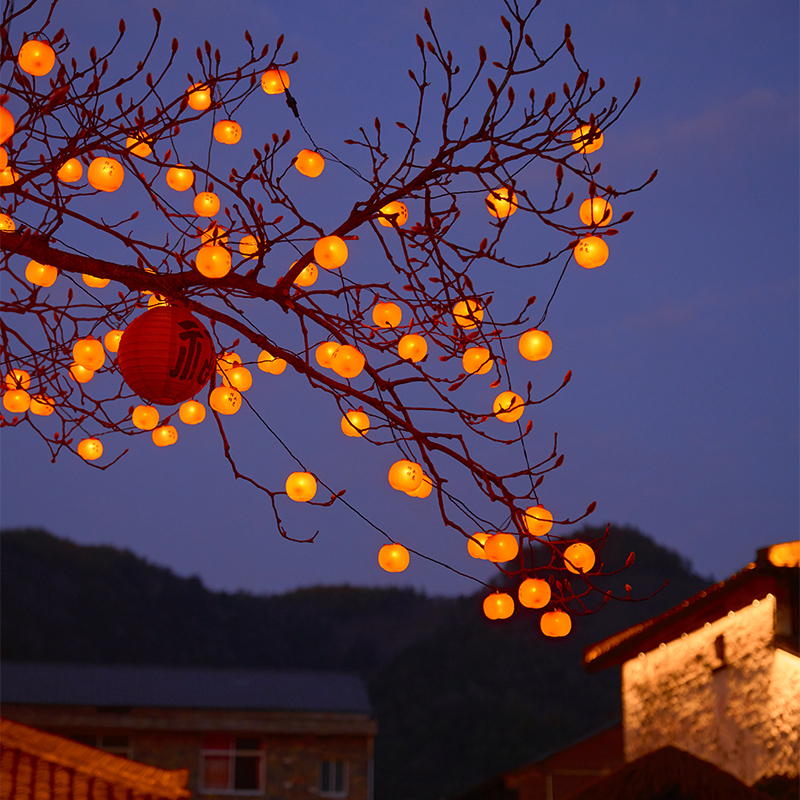 串灯过年春节柿子灯串