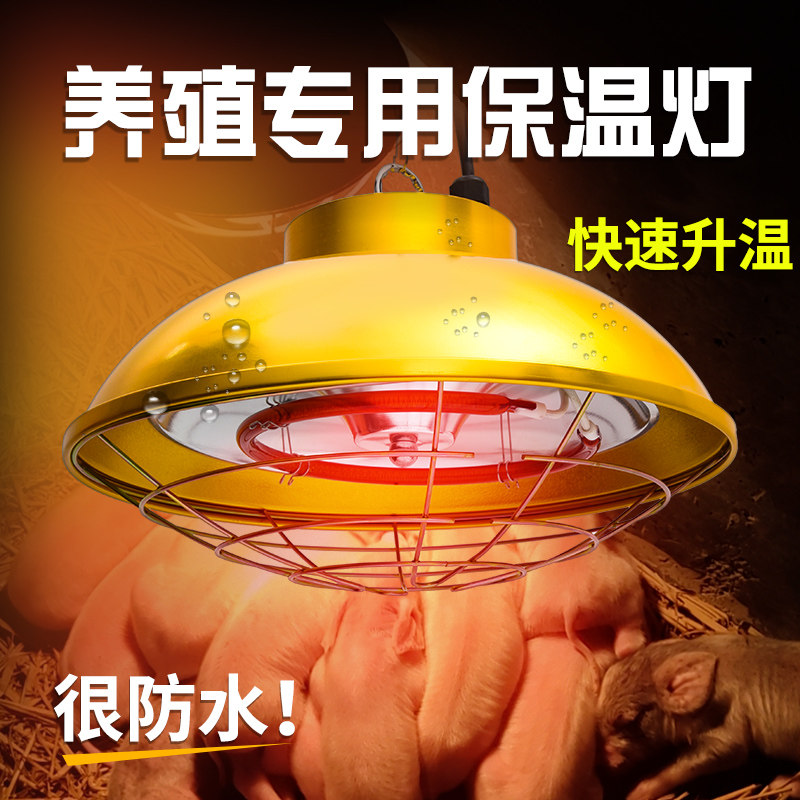 保温灯养殖场专用可调温度兽用取暖灯罩猪用小鸡育雏仔猪防水卤素