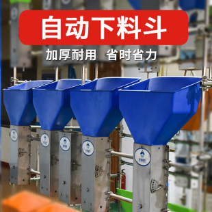 料斗同步下料器母猪半自动下料斗猪用养殖设备喂猪定位栏定量杯