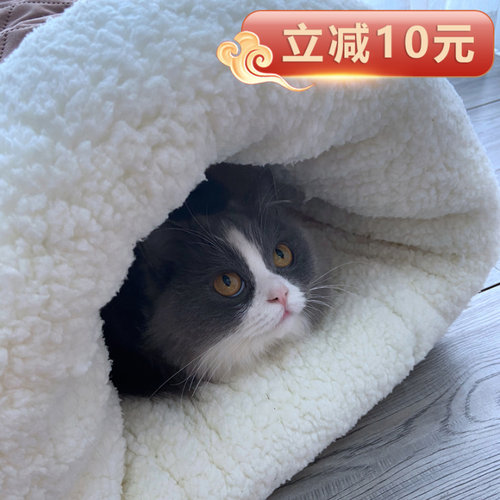 猫隧道猫咪质量怎么样？-猫隧道猫咪口碑怎么样？ - 小麦优选