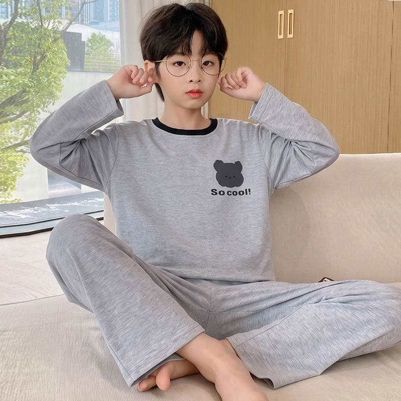 春秋款套头长袖纯棉男童