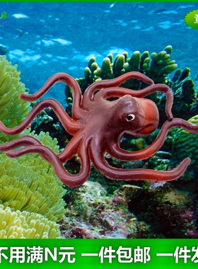 软胶仿真章鱼幼儿园儿童认知益智可爱玩具捞鱼戏水八爪鱼动物模型
