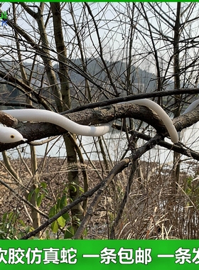 白色黑色蛇仿真蛇小青蛇软胶蛇小白蛇娘子传说演出道具玩具蛇假蛇