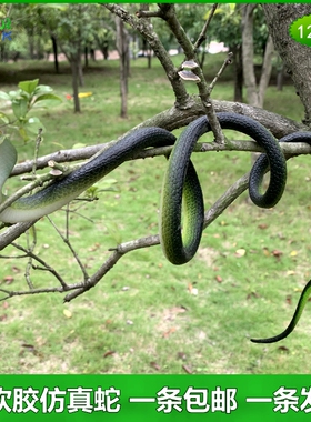 软胶仿真眼镜蛇蟒蛇儿童玩具小蛇景点假山公园艺花草树木造景大蛇