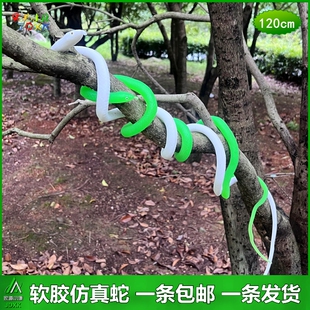 仿真蛇白蛇传说青蛇新白娘子塑胶软胶玩具蛇假蛇模型演出服装道具