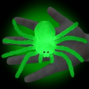 软胶仿真夜光蜘蛛玉色超亮儿童认知过家家玩具发光假昆虫动物模型