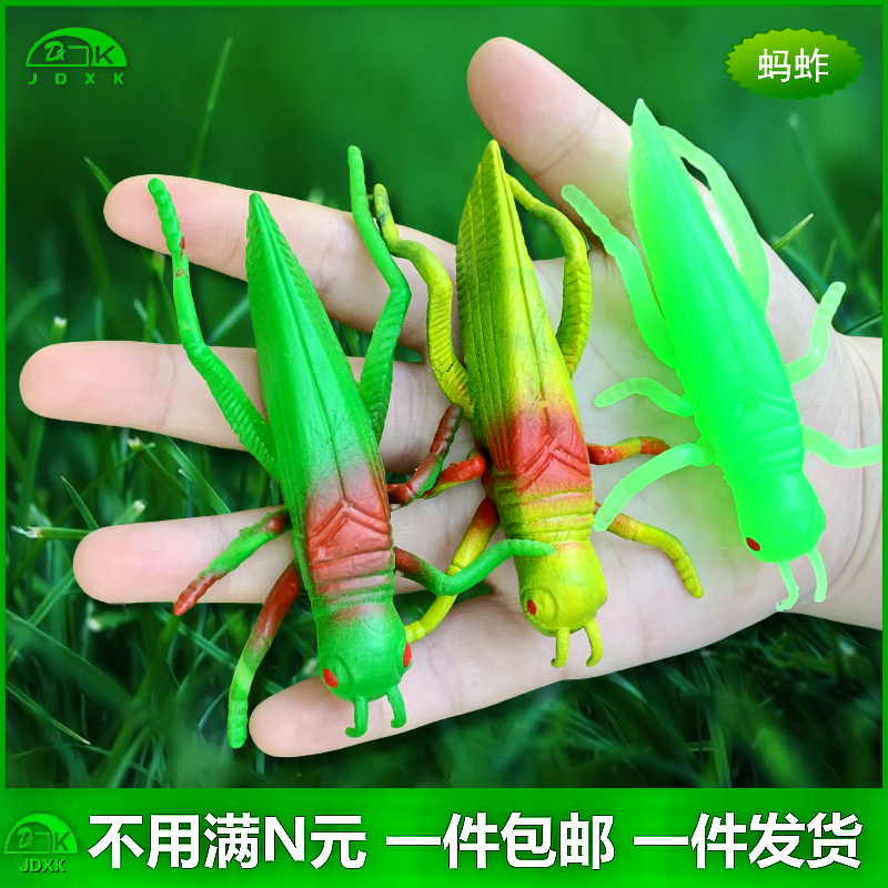 软胶仿真蚂蚱蜢蝗虫彩色套装幼儿园儿童玩具园艺花草装饰昆虫模型,玩具/童车/益智/积木/模型,仿真/动物玩偶,淘宝优惠券,粉丝福利购,淘宝优惠卷