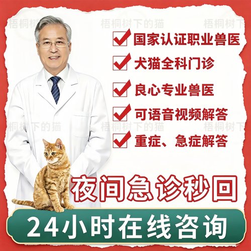 宠物医生在线问诊24小时兽医诊所