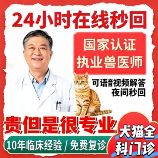 宠物医生在线问诊猫咪生病咨询兽医24小时线上医院狗狗看病问诊疗