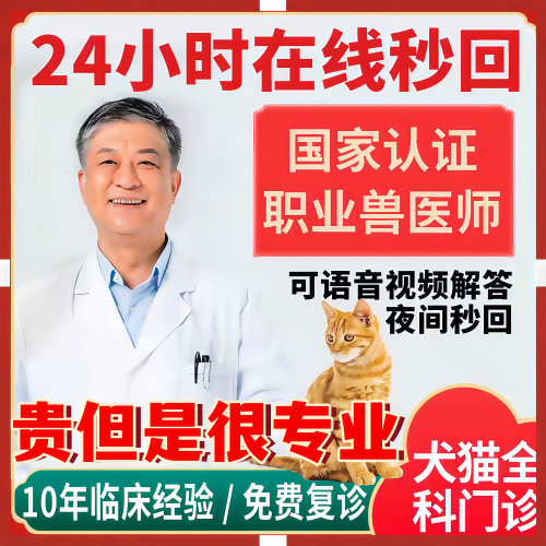 宠物医生问诊24小时线上宠物问诊