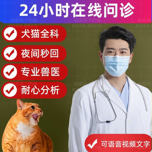 猫咪狗生病在线问诊咨询宠物医院医生兽医24小时问诊异宠看病诊疗