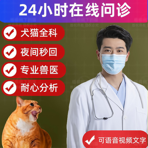 狗狗生病问诊宠物问诊宠物医生