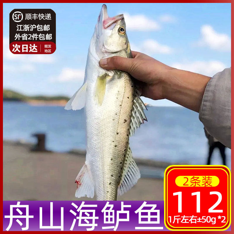 舟山新鲜深海鲈鱼鲜活冷冻海捕生鲜特大七星鲈鱼冰鲜2条装 非淡水