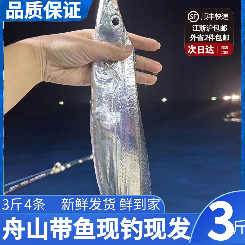 舟山海钓带鱼东海小眼睛钓带新鲜冷冻刀鱼深海鱼鲜活海鲜水产 3斤,水产肉类/新鲜蔬果/熟食,带鱼,淘宝优惠券,粉丝福利购,淘宝优惠卷