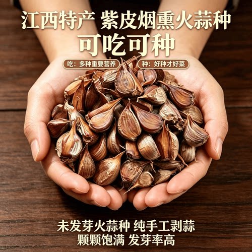 汗老翁优质香蒜种子火皮蒜大蒜种