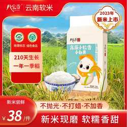 当年新米云南文山广南八宝贡米高原小粒香小白米5kg真空包装10斤