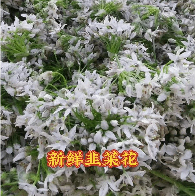 胜香园内蒙韭菜花酱200克5斤装餐饮火锅蘸料烧烤羊汤凉拌调味酱料