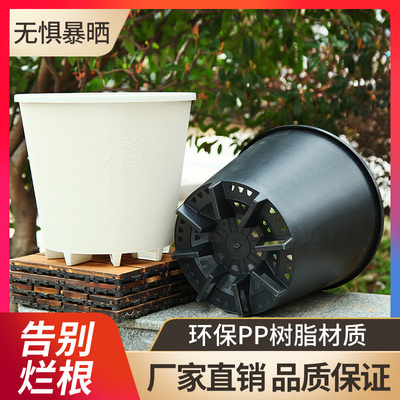 高脚抗氧化硬质蓝莓种植花盆