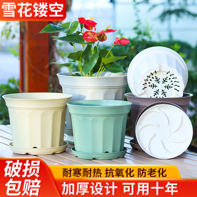 花盆小果汀环保树脂花盆蓝莓盆欧式风郁金香球根花盆仿陶瓷硬花盆