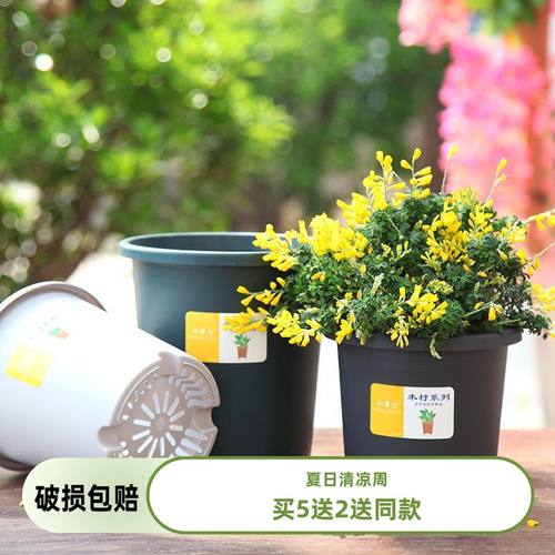 【买5送2】小果汀三代加仑盆北欧风加厚简约控根花盆月季专用盆