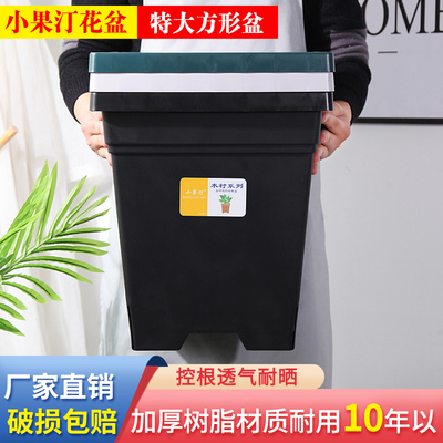 小果汀加加10加方形青山控根盆