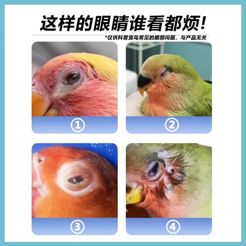 Geledor/格莱德一嘀灵鹦鹉流泪红肿调理保健用品单眼伤风一滴灵