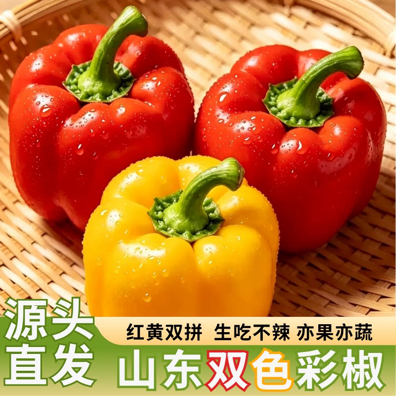 山东新鲜双色彩椒红黄圆椒辣椒灯笼椒甜椒生吃不辣水果椒