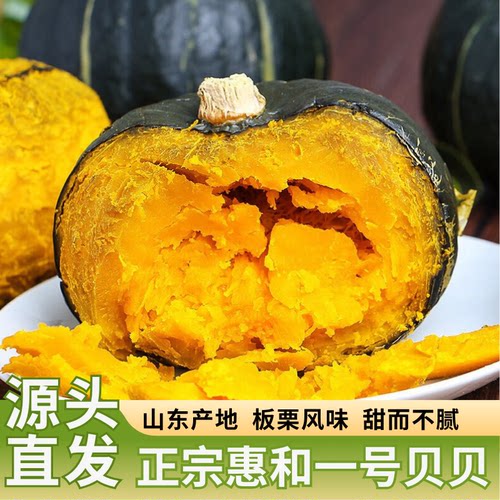 山东惠和贝贝南瓜 新鲜上市 粉面南瓜 板栗风味 软糯不噎 蔬菜
